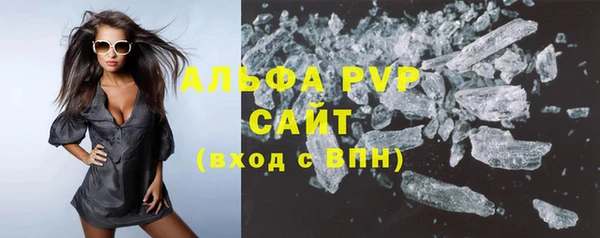 a pvp Бородино