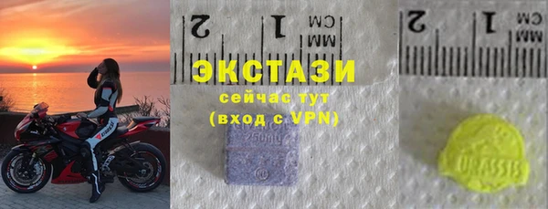 a pvp Бородино
