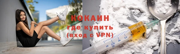 a pvp Бородино