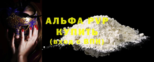 спайс Богданович