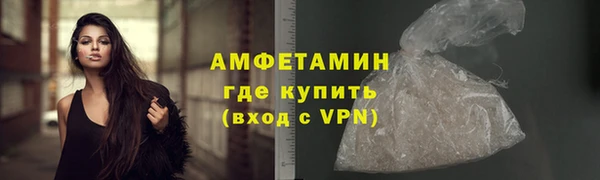 спайс Богданович