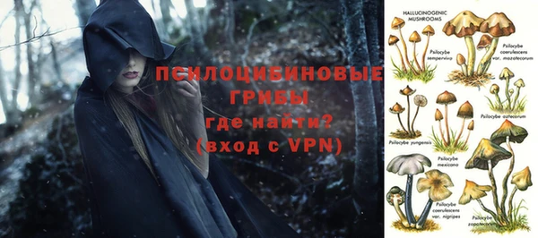 mdma Богородицк
