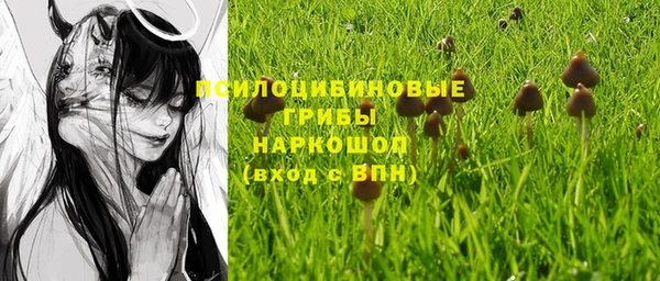 спайс Богданович